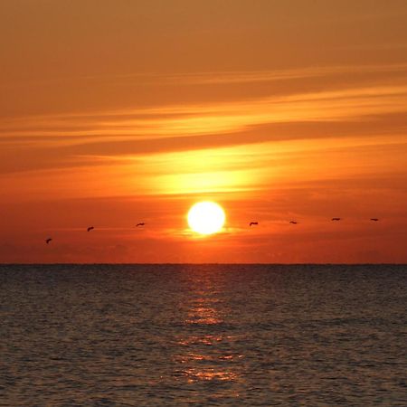 Oceanfront Inn And Suites - Ormond Ormond Beach Esterno foto