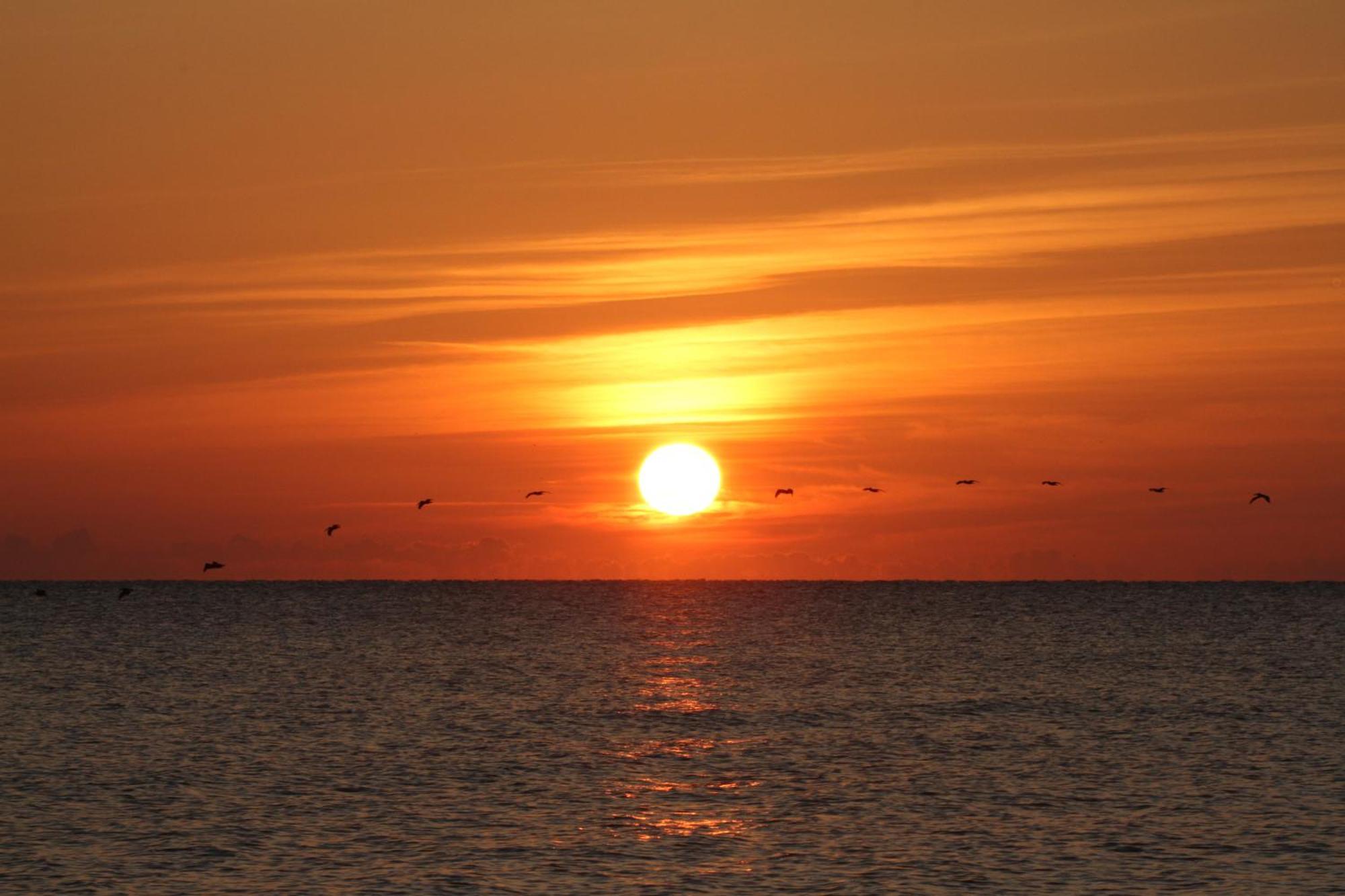 Oceanfront Inn And Suites - Ormond Ormond Beach Esterno foto
